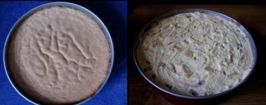 Zdjęcie - Tort Ambasador - Przepisy kulinarne ze zdjęciami