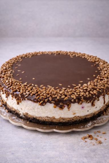 Zdjęcie: Sernik waniliowo-czekoladowy Zdjęcie - Sernik waniliowo-czekoladowy - Przepisy kulinarne ze zdjęciami