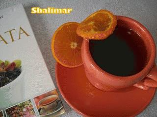 Zdjęcie - Shalimar  - Przepisy kulinarne ze zdjęciami