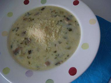 Zdjęcie - Zupa z indyka z brązowym ryżem, grzybami, szałwią  - Przepisy kulinarne ze zdjęciami