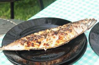 Zdjęcie - makrela z grilla - Przepisy kulinarne ze zdjęciami