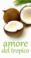 Zdjęcie - Koktajl truskawkowo-kokosowy z malibu - Przepisy kulinarne ze zdjęciami