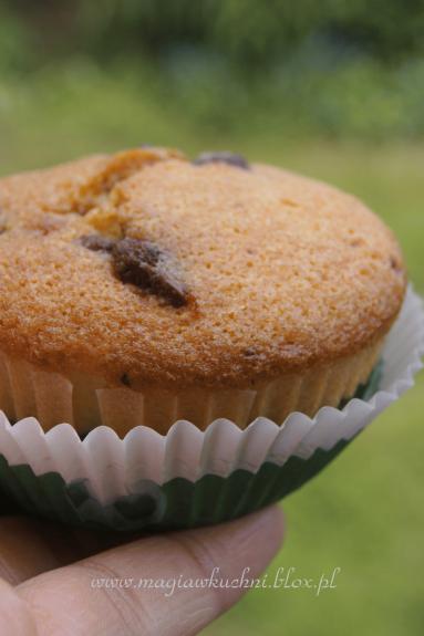 Zdjęcie - Muffiny cytrynowe z czekoladą    - Przepisy kulinarne ze zdjęciami