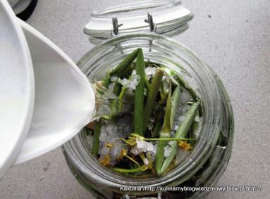 Zdjęcie - ogórki małosolne z chrzanem  - Przepisy kulinarne ze zdjęciami