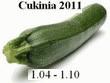Zdjęcie - Cukinia z gorgonzolą i miodowym sosem - Przepisy kulinarne ze zdjęciami
