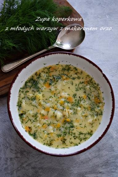 Koperkowa zupa z młodych warzyw z makaronem orzo 