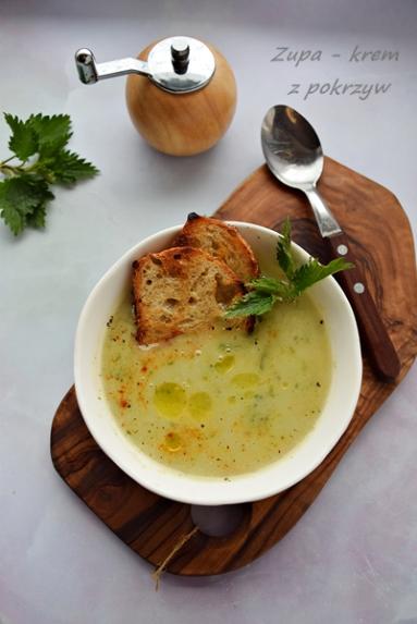 Zdrowa zupa - krem z pokrzyw 