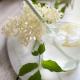 Lemoniada i syrop z kwiatów czarnego bzu Lemoniada i syrop z kwiatów czarnego bzu