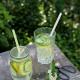 Lemoniada ogórkowa Lemoniada ogórkowa