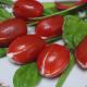 Tulipany - pomidorki z ricottą