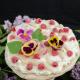 Wegańska Pavlova Wegańska Pavlova